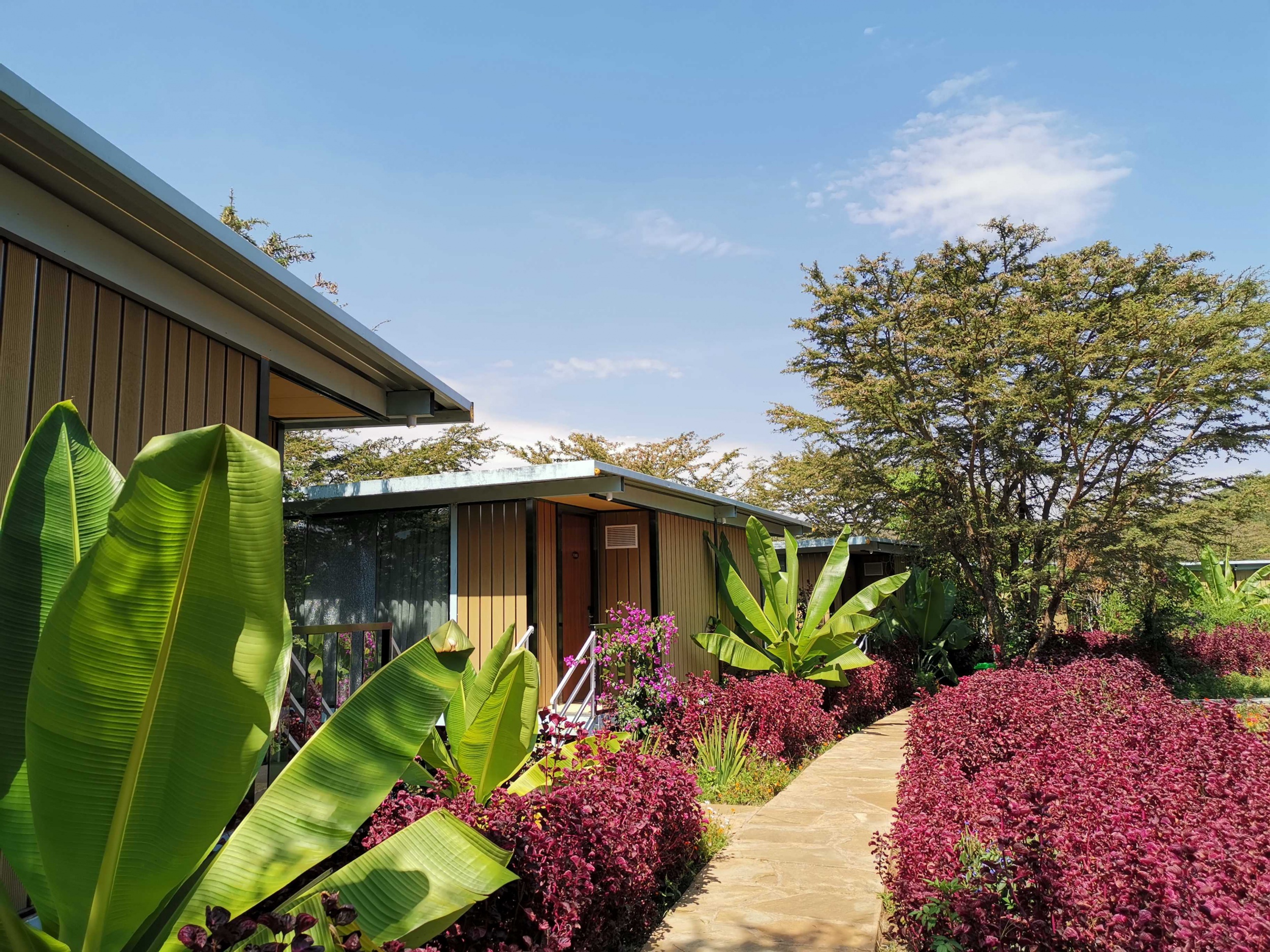 Jambo Mara Lodge