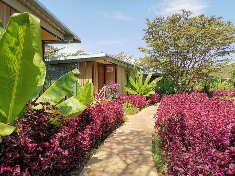 Jambo Mara Lodge