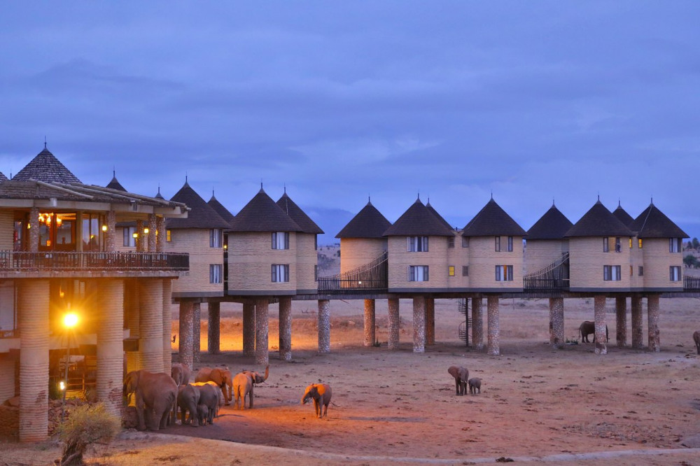 salt lick safari lodge outdoor